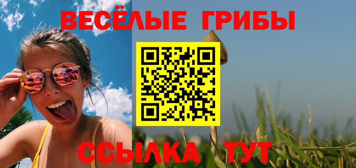 Галлюциногенные грибы мухоморы  Вход с VPN  Галлюциногенные грибы MAGIC MUSHROOMS  Ржев 